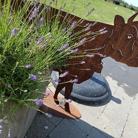 Gite Ferme D'Hurtaux Froid-Chapelle Zewnętrze zdjęcie